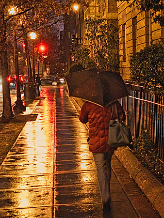 Rainy Evening