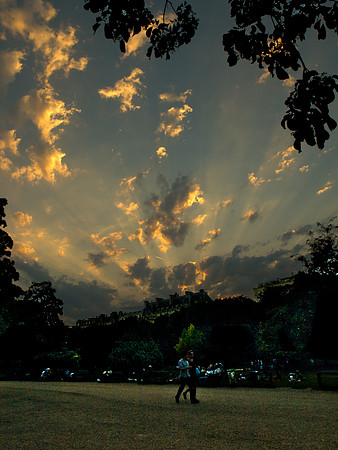 Paris Park