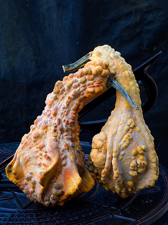 Two Gourds 20-22