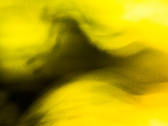 Ebb and Flow