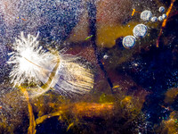 Winterforms 28