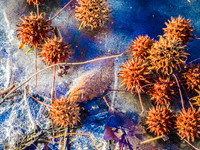 Gummy Balls 07