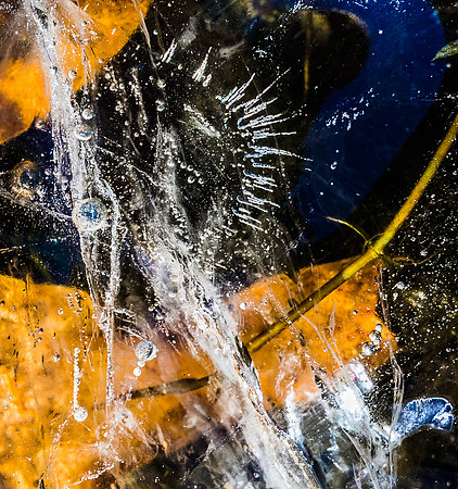 Winterforms 30