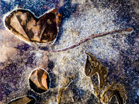 Winterforms 71
