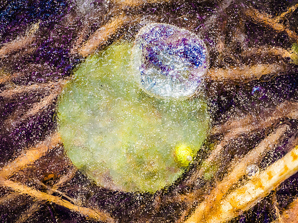 Winterforms 77