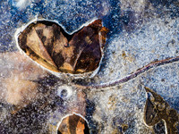Winterforms 68