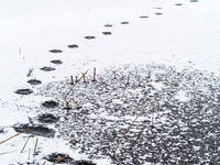Tracks 55-63