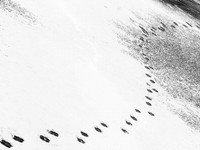Tracks 51-54