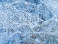 Iceforms 6-19