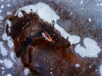 Iceforms 80-90