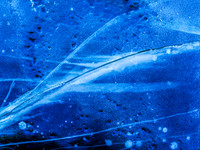 Ice World 31