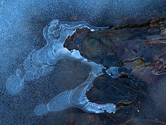 Blue Rhapsody 11