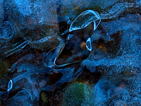 Winterform 249