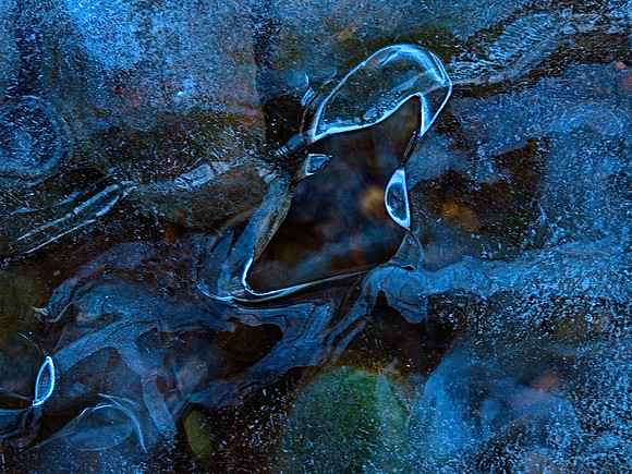 Winterform 249