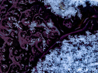 Winter Stream