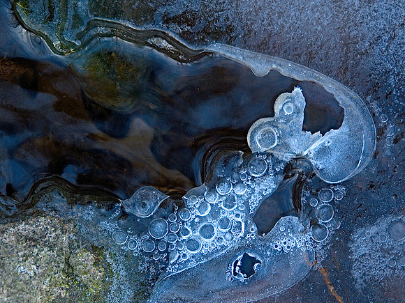 Blue Rhapsody 3