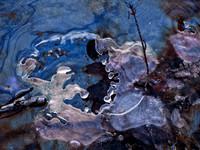 Winter Pond