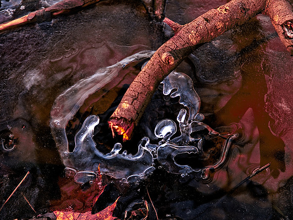 Winter Pond