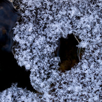 Snow on Ice