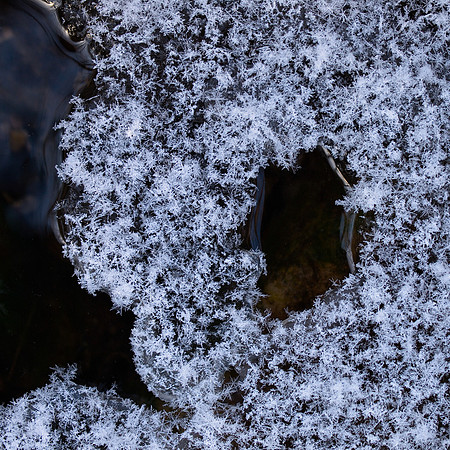 Snow on Ice
