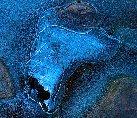 Winterform 253