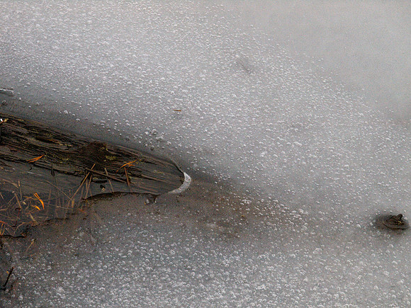 Thaw