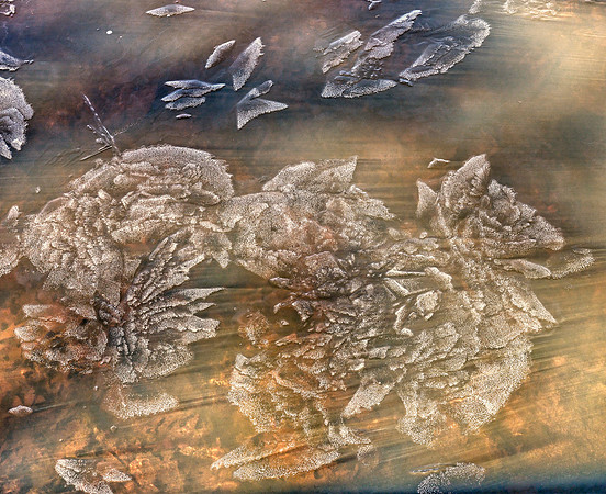 05 Wintry Bouquet 54-61