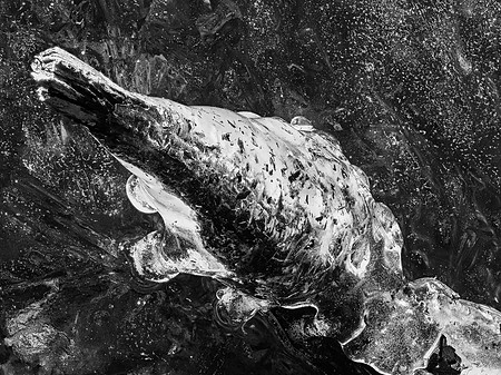 15 From the Deep 02-11