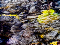13 Other Worlds 3-5