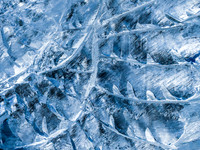 16 Blue Fugue 011