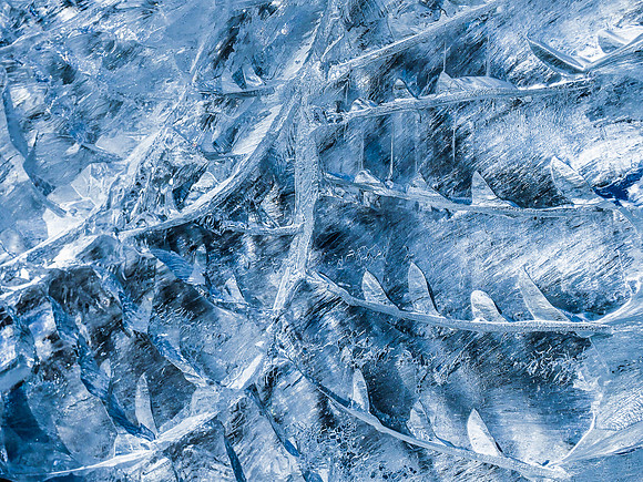16 Blue Fugue 011