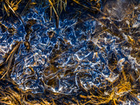 10 Winter's Nest