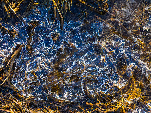 10 Winter's Nest