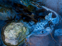 002 Blue Rhapsody Two