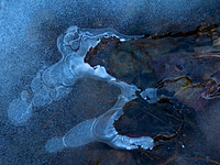 001 Blue Rhapsody One