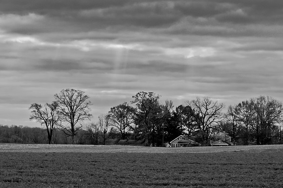 Agriculture