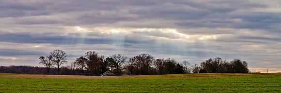 Agriculture