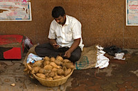 Coconuts