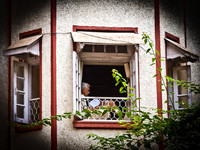 The Scolar
