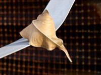 Dead Leaf 02