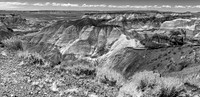 Petrified Forest 42-70