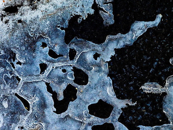Winterforms 2014