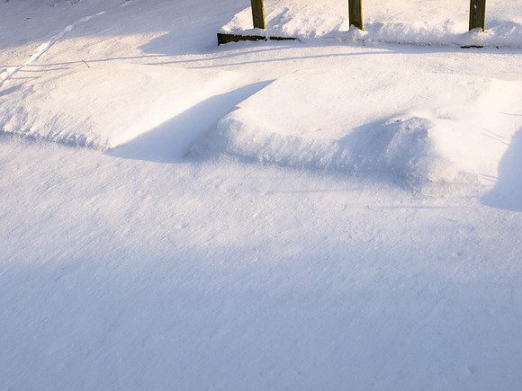 Snow Garden