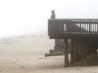 Naren at the Beach 761
