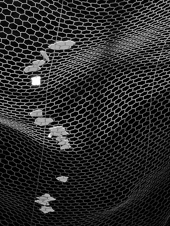Safety Net