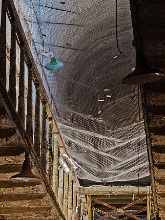 Safety Net