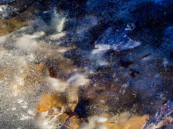 Into the Deep