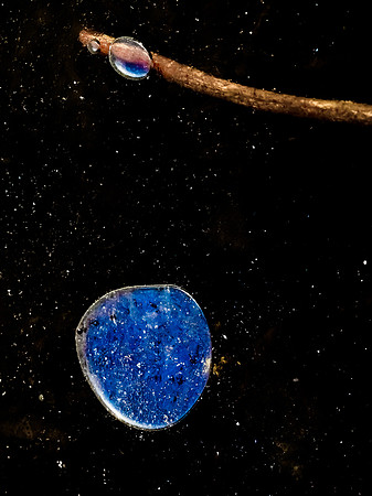 Gravity