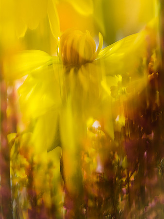 Bouquet 160