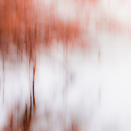 Striations 247